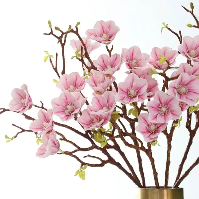 Simulation de Magnolies de neige parfumées