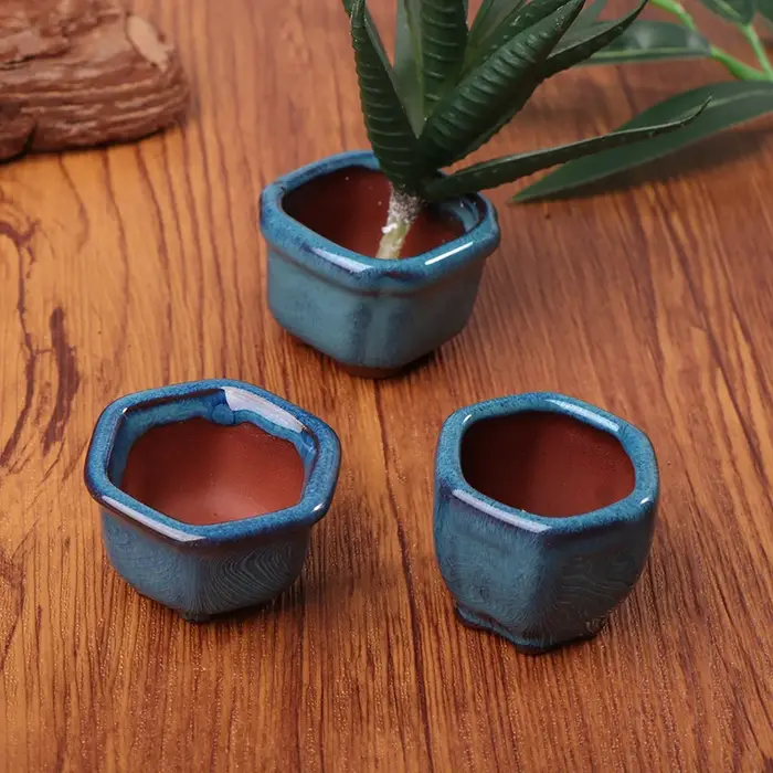 Mini pots de plantes avec trous