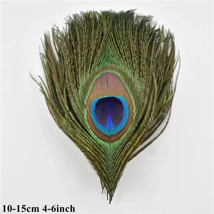 Plumes de paon naturelles