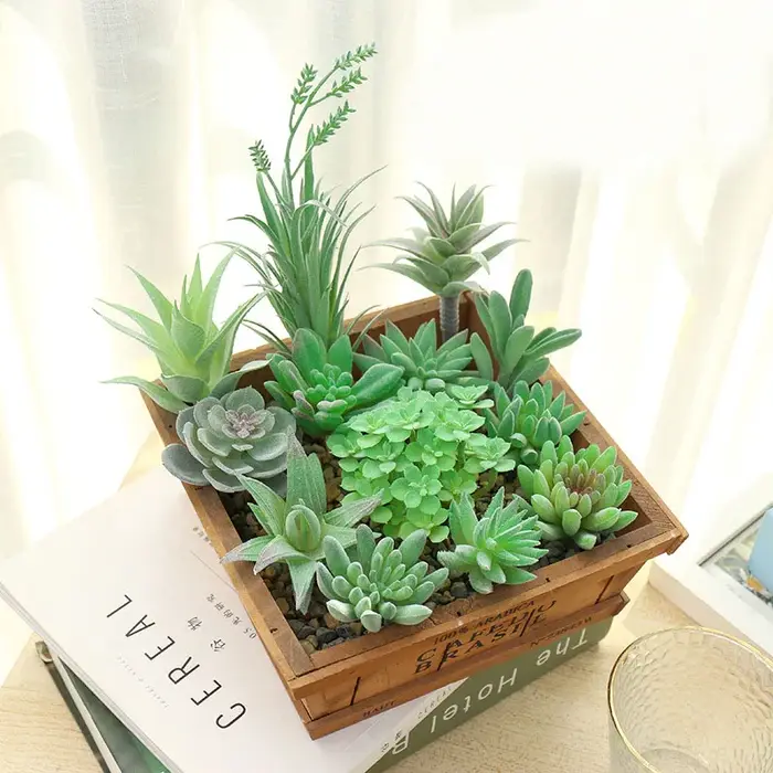 Plantes succulentes artificielles floquées vertes