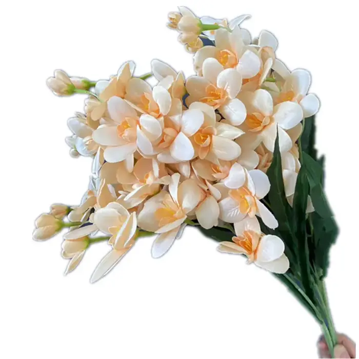 InjCattleya-Branche de fleur avec cuir chevelu vert