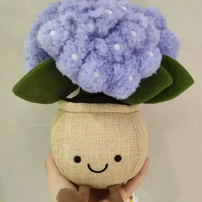 Hydrangea printanier Jca en pot