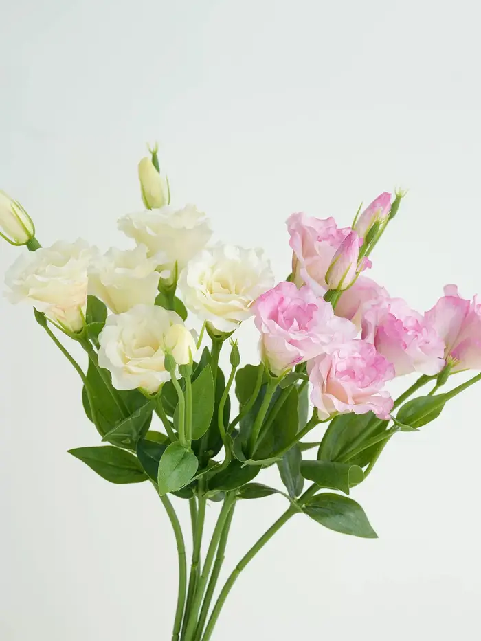 Fleurs artificielles de lisianthus blanches