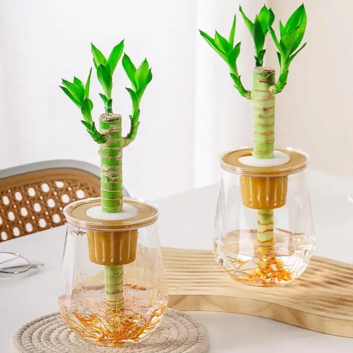 Mini Pot de fleur à arrosage automatique