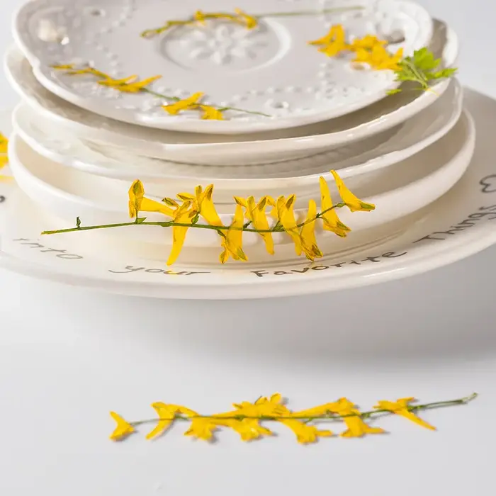 6 pièces/6-10 cm, fleurs séchées d'herbe de perroquet naturelles