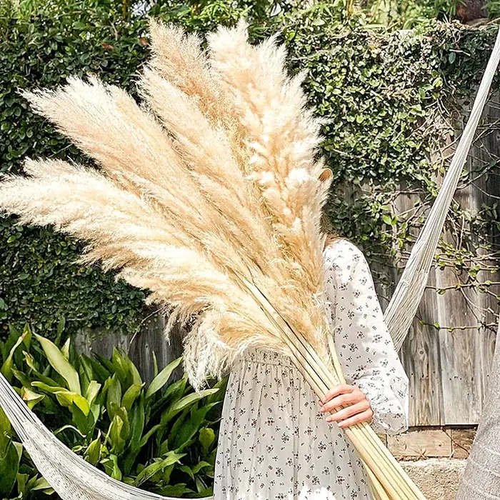 Grand Plume d'herbe de Pampa séchée de 110 à 120cm