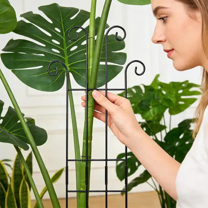Treillis métallique pour plantes d'intérieur et d'extérieur