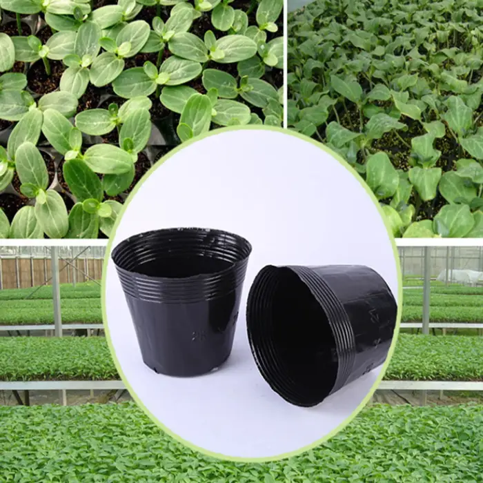 Pot de démarrage de semis en plastique noir, 50/100 pièces, Pots de semis flexibles pour démarrer de