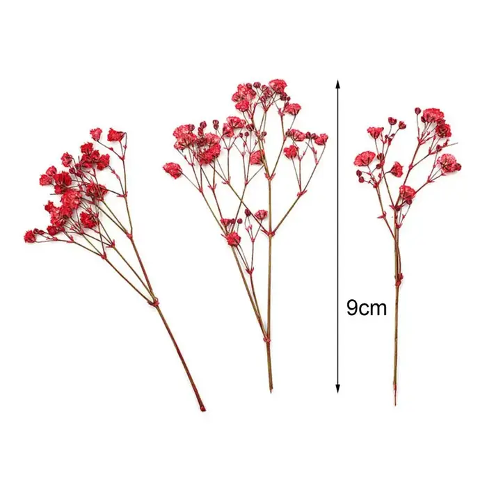 Bouquets de fleurs séchées naturelles