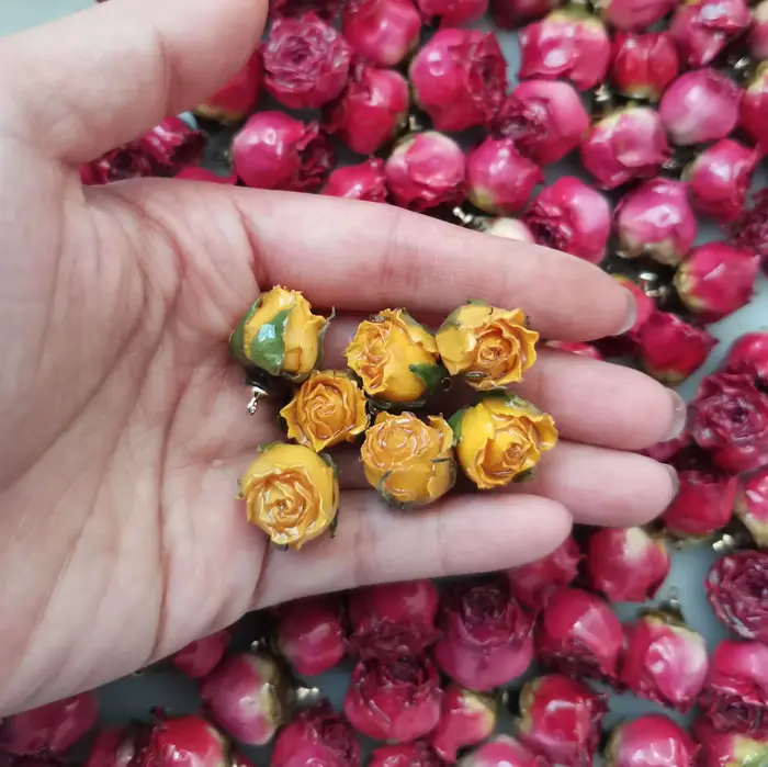 Aqumotic fleurs séchées pour pendentif en résine vraies petites Roses pour l'artisanat pour la fabrication de bijoux décodène crème 10 pièces décorations