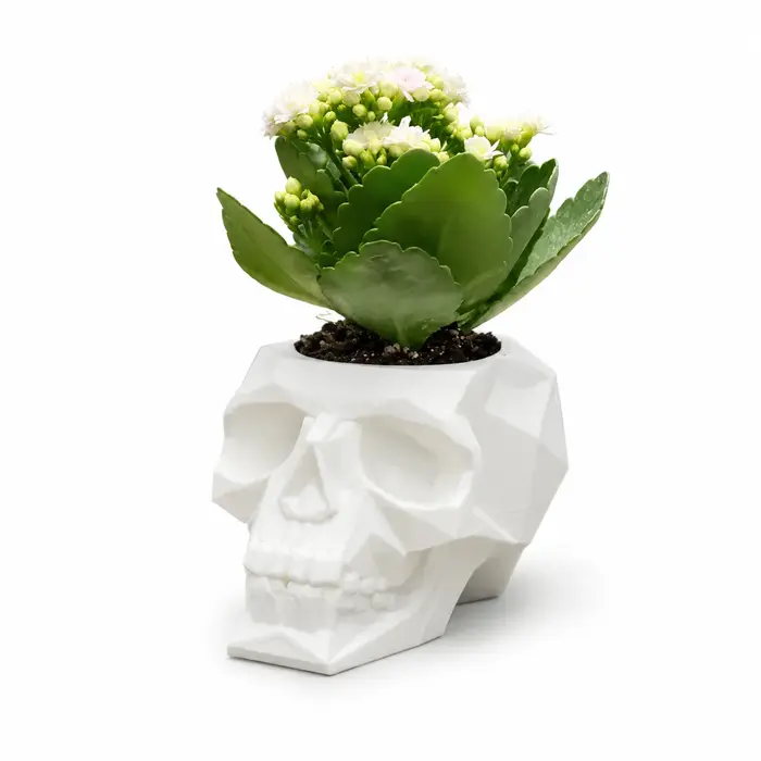 Pot de fleurs en forme de crâne, pot de fleurs gothique en polygone bas pour plantes succulentes, dé