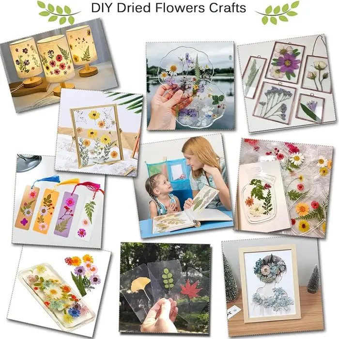 Kit de pressage de fleurs ABKJ-DIY 30x21cm pour adultes pour fabriquer
