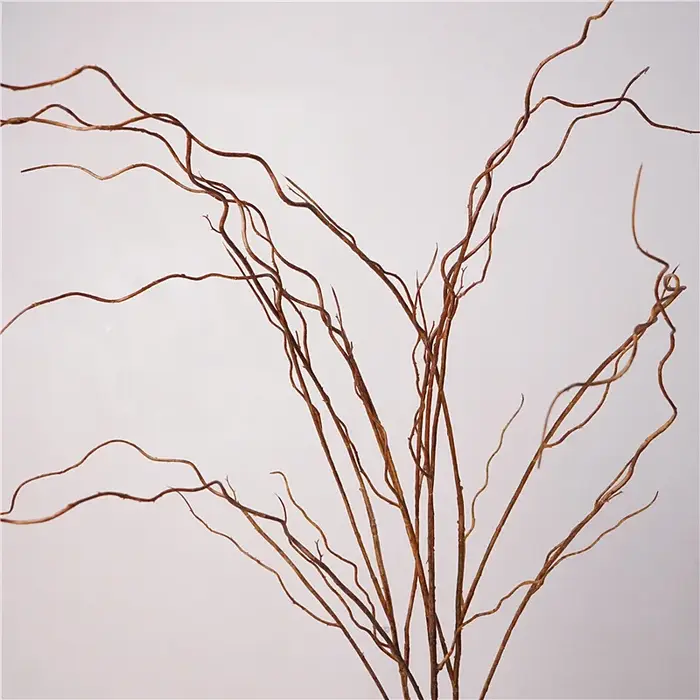 Simulation de Branches vaccées