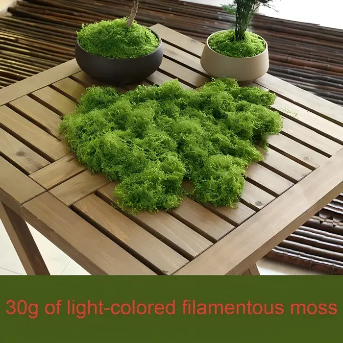 Plantes vertes artificielles, mousse, herbe, décoration de salon, jardin, mini paysage, fausse fleur