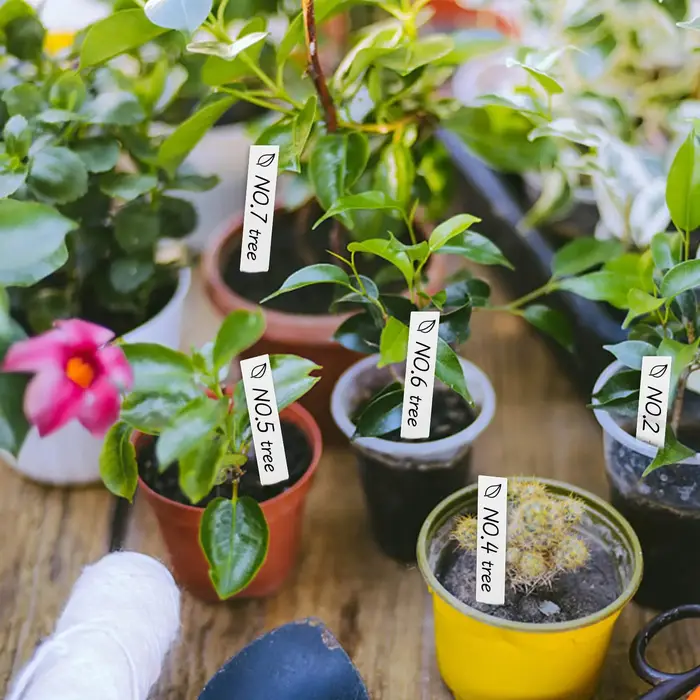 Étiquettes de marquage pour plantes