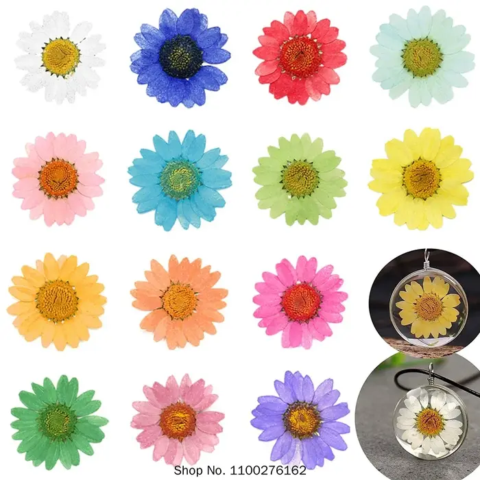 120 pièces de fleurs de marguerite séchées pressées pour la fabrication de pendentifs en résine époxy