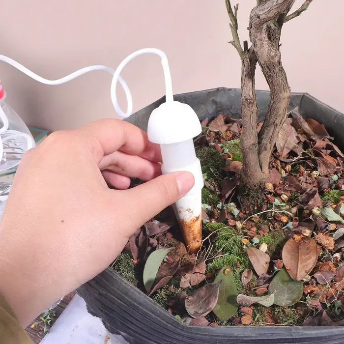 4 Piques d'arrosage automatiques en céramique pour plantes en pot