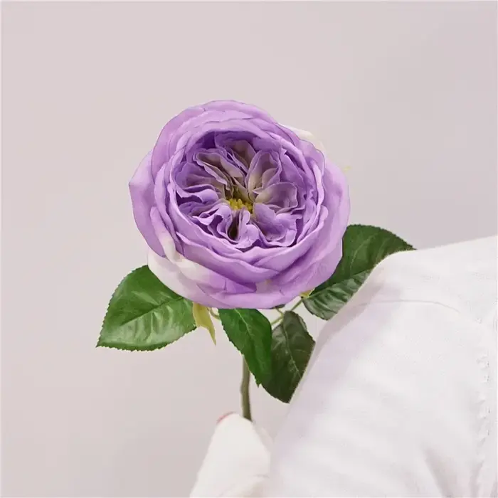Bouquet de roses hydratantes