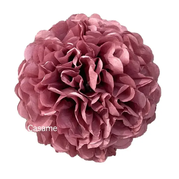 5 pièces 4 6 8 10 12 pouces papier de soie Pom Poms fête de mariage