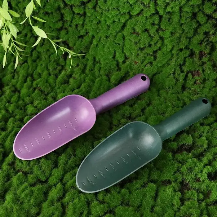 Outil de jardinage en plastique pour plantes succulentes