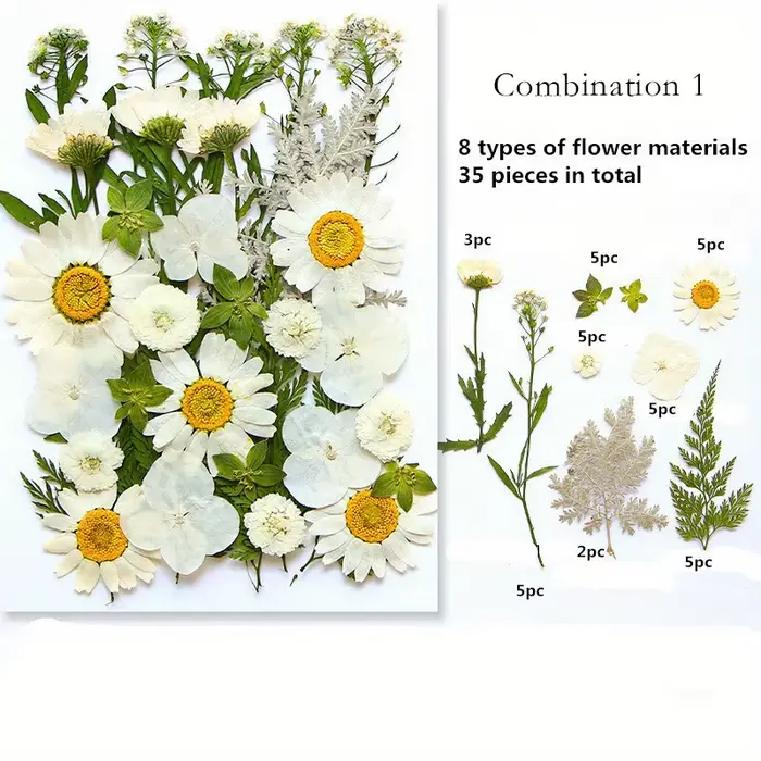 Fleurs pressées séchées pour moule en résine, vraies feuilles séchées pressées, ensemble en vrac pou