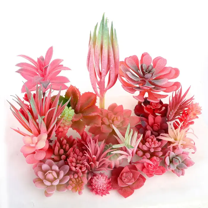 Plantes succulentes artificielles floquées rouge rose