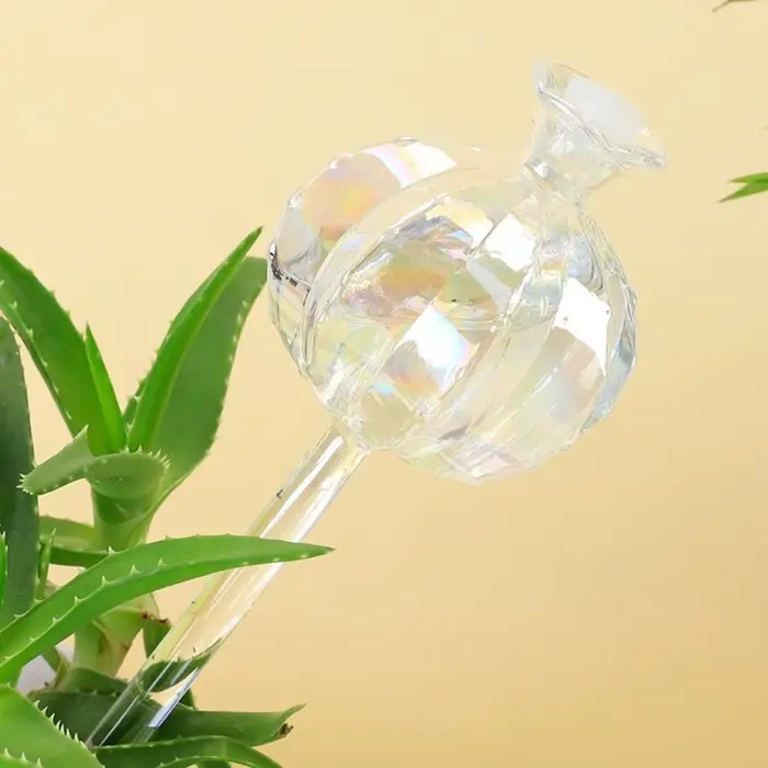 Cactus Cactus – Bulbes d'arrosage automatiques en verre pour plantes