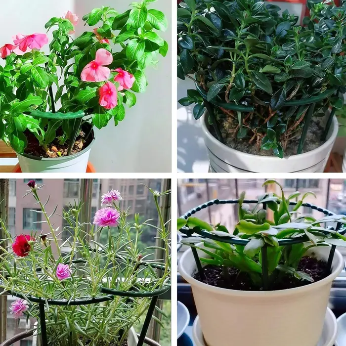 Support de plante en plastique