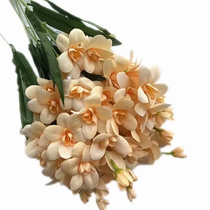 InjCattleya-Branche de fleur avec cuir chevelu vert