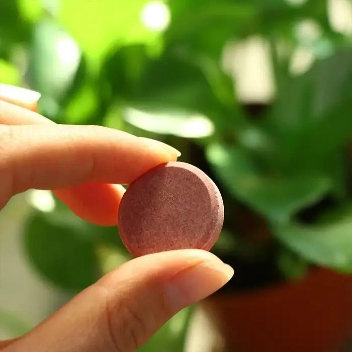 L'engrais organique au phosphore à libération restée accélère la croissance des plantes comprimés nutritionnels