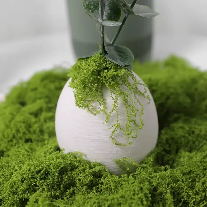 30/100g plantes vertes artificielles mousse vie éternelle