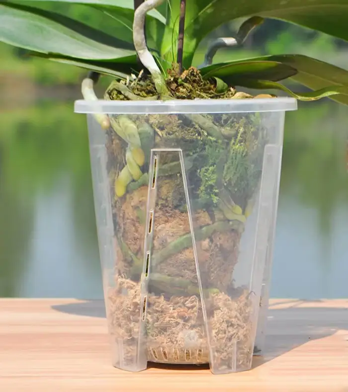 Pot de fleurs en plastique PP transparent respirant avec trous d'aération pour orchidées