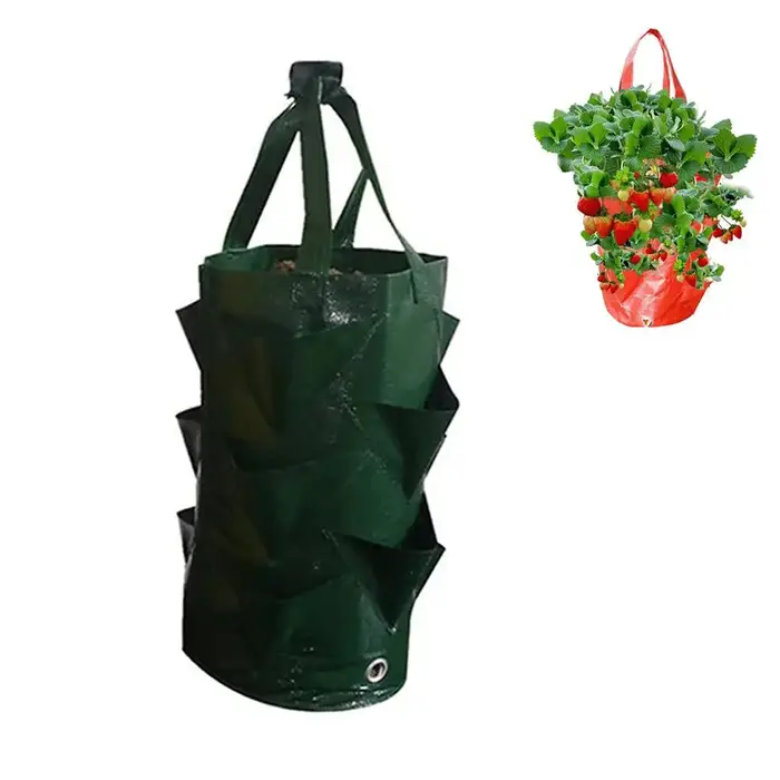 Sac de culture suspendu pour fraises et herbes, 3 gallons, pour jardinage, rangement, entretien faci