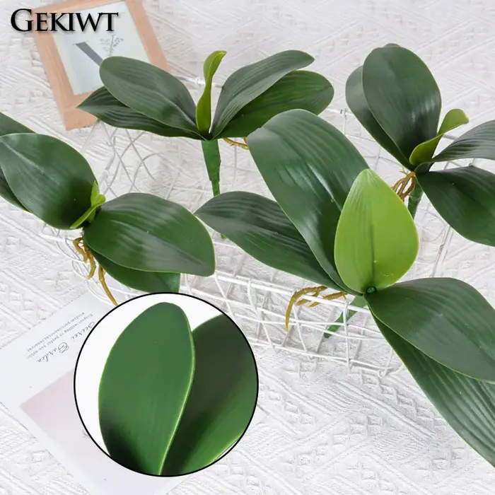 Plantes artificielles : Feuilles de Phalaenopsis