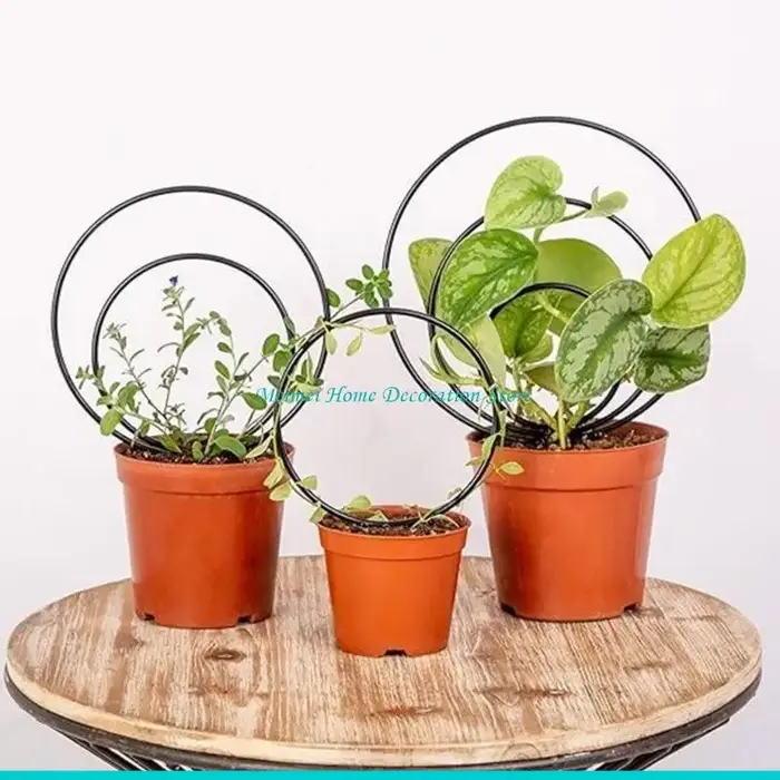 H7BF – treillis pour plantes d'intérieur