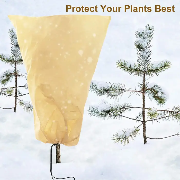 Protection contre le gel de couverture de plante