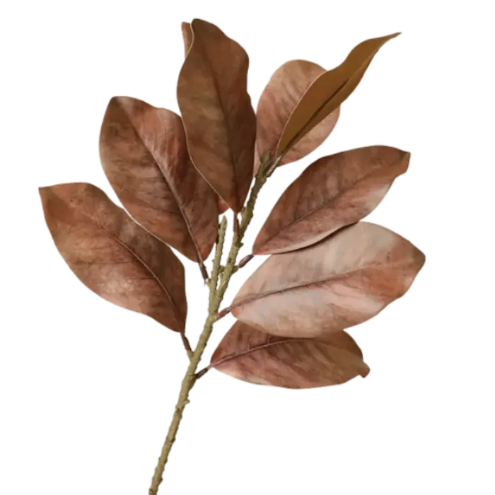 Branches de feuilles de magnolia artificielles de 57 cm, toucher réaliste, plante de magnolia artifi