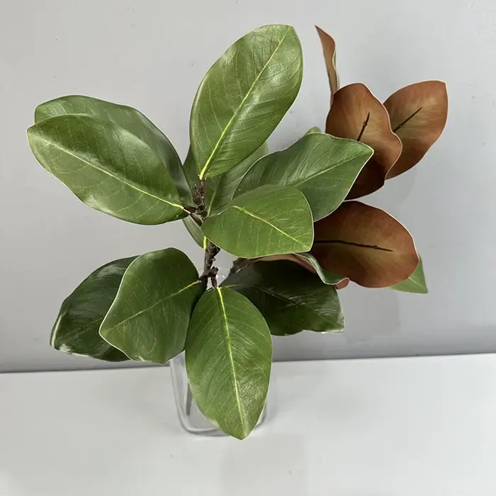 Feuilles de magnolia de style artistique de plante verte simulée