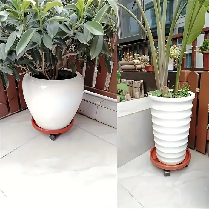 Support de plantes roulant robuste 1 pièce