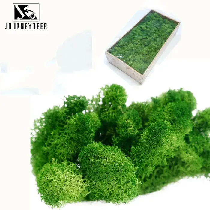 Mousse naturelle verte plante artificielle 200g