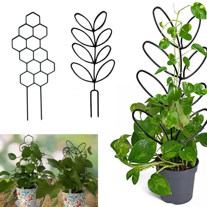 Treillis pour plantes grimpantes