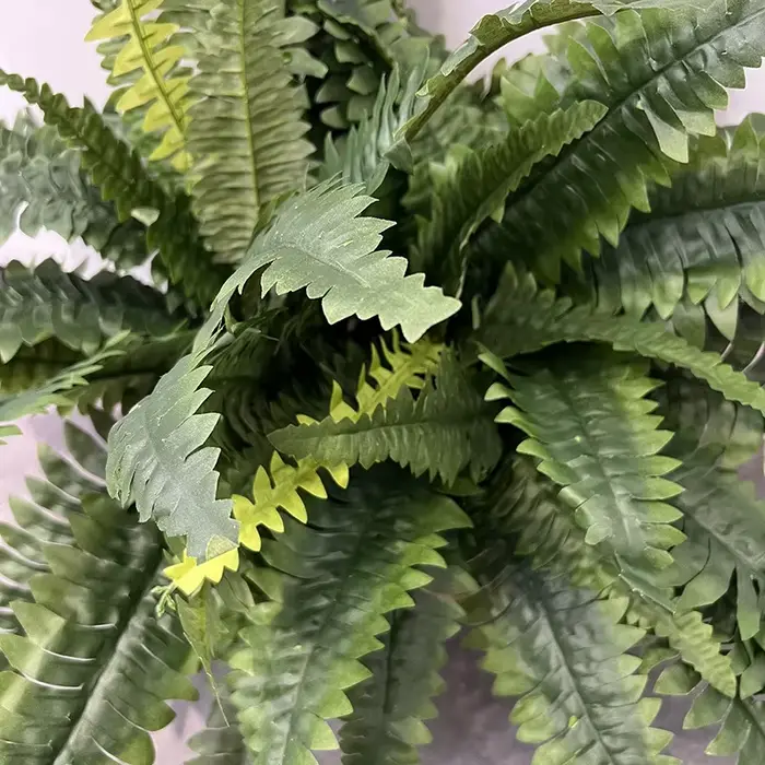 Plante de Fougère Artificielle