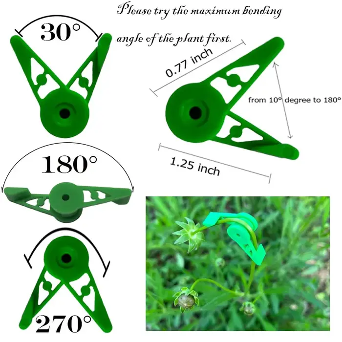 Clips de formation pour tiges de plantes