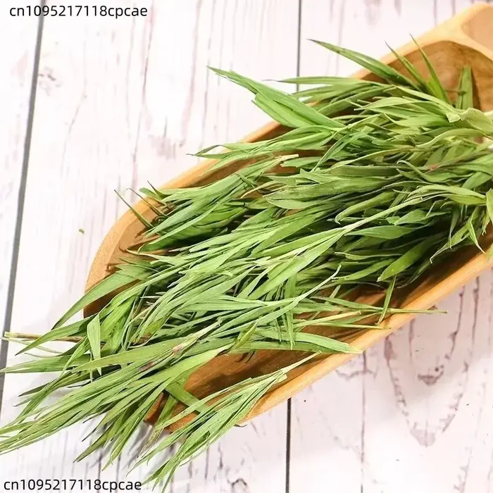 Légumes verts naturels de bambou de qualité supérieure pour centre de table de mariage