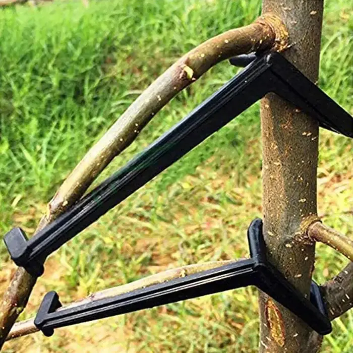 Extracteur de branches de plantes