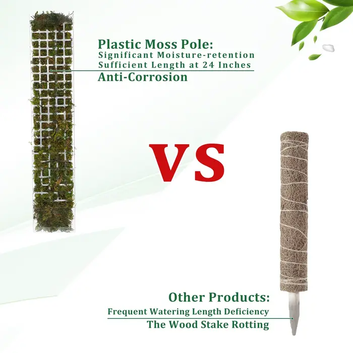 Support de plantes en plastique
