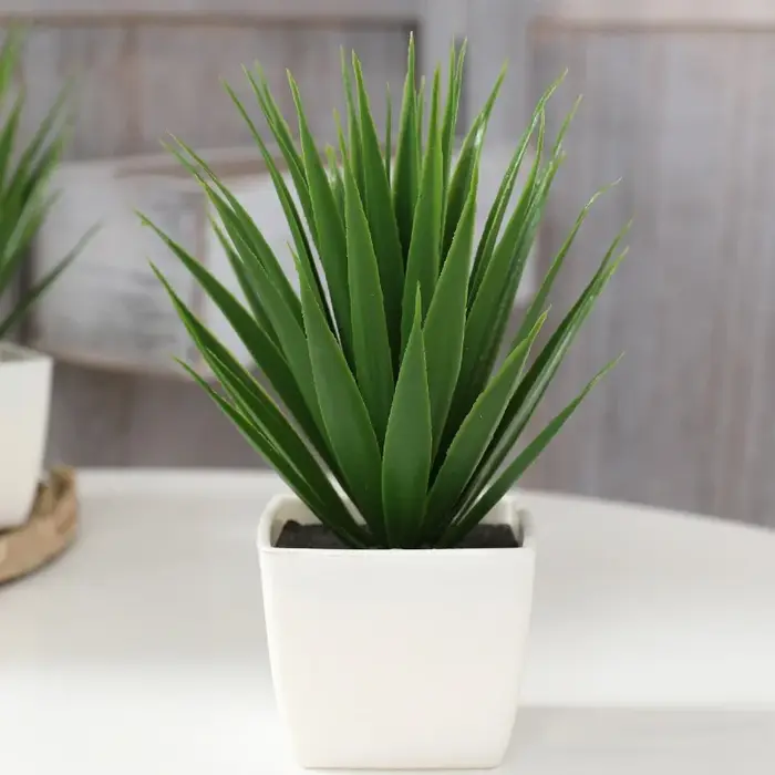 Plantes en pot de plantes de décoration de maison de Simulation de 1 pièce