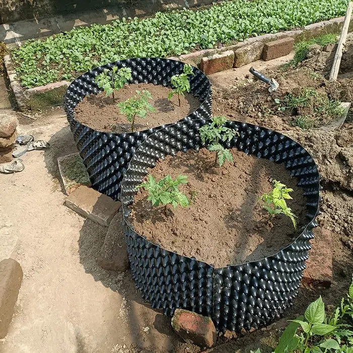 Pots de taille aérienne en plastique