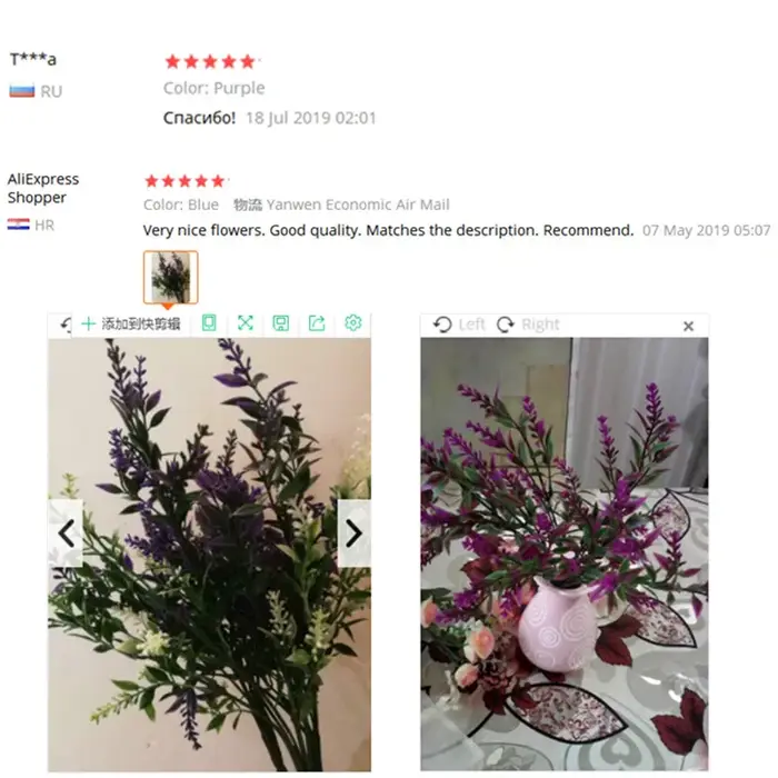 Plante verte lavande, bouquet d'herbe d'eau
