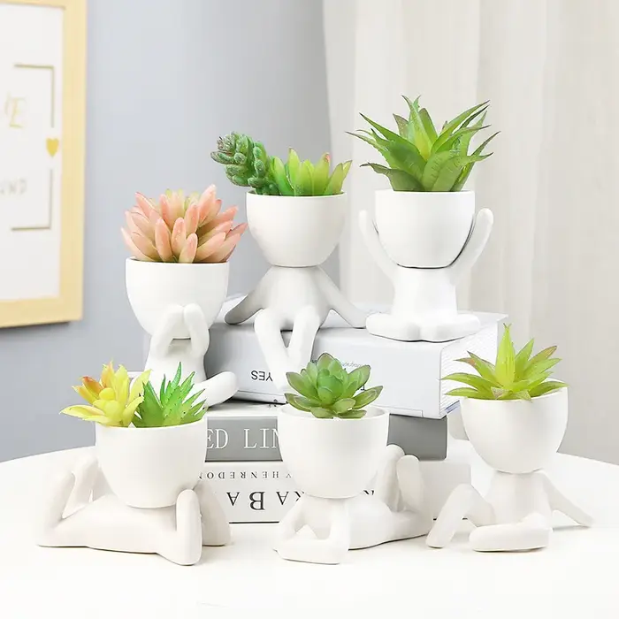 Pot de fleurs succulentes nordique